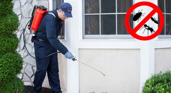 Ağrı Böcek İlaçlama böcek ilaçlama ve haşere kontrolü — ilaclama-tr.com